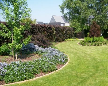Binnen de tuinaanleg zal een gazon vaak voor een mooie groene open ruimte zorgen die multifunctioneel benut kan worden.